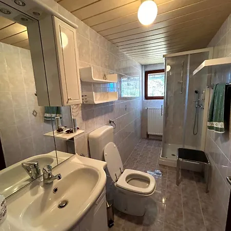 בית נופש Apartma Bine צ'רקנו