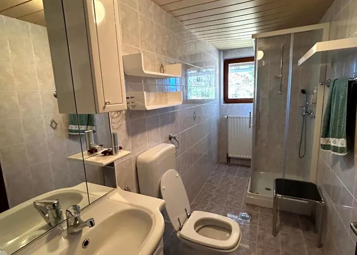 Vakantiehuis Apartma Bine Cerkno