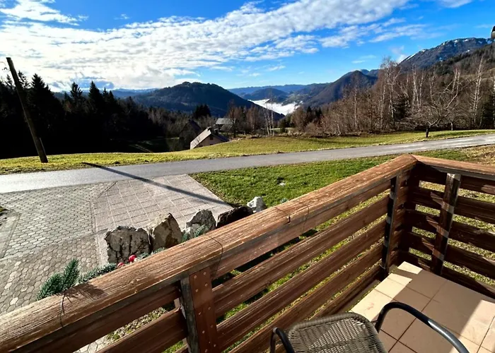 Vakantiehuis Apartma Bine *